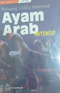 Image of PELUANG USAHA BETERNAK AYAM ARAB INTENSIF